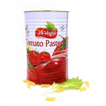 fabricante de pasta de tomate en conserva